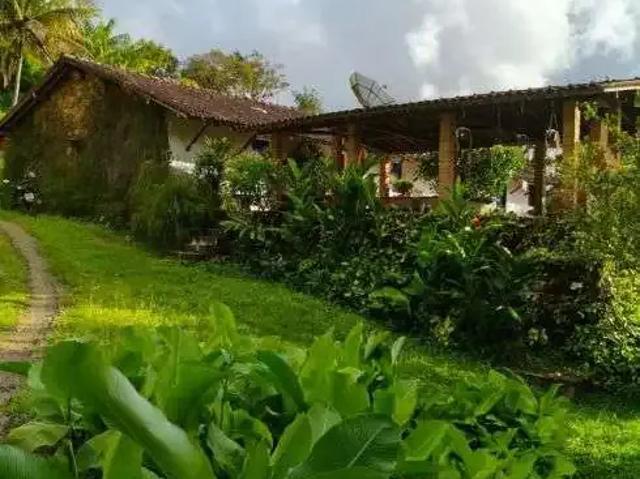 Sítio e chácara venda em Região Geográfica Imediata de Caruaru, Bonito
