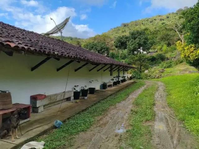 Sítio e chácara venda em Região Geográfica Imediata de Caruaru, Bonito