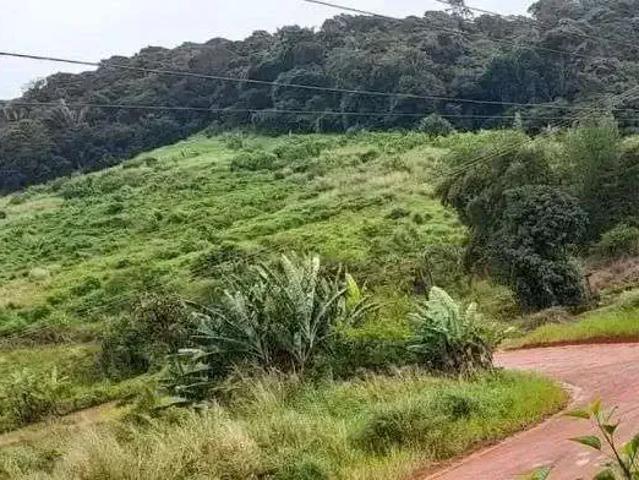 Sítio e chácara venda em Região Geográfica Imediata de Caruaru, Bonito