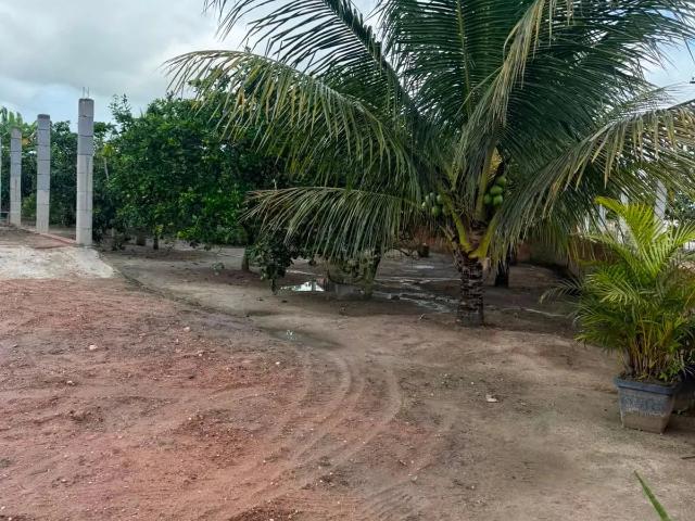 Sítio e chácara venda em Boquim