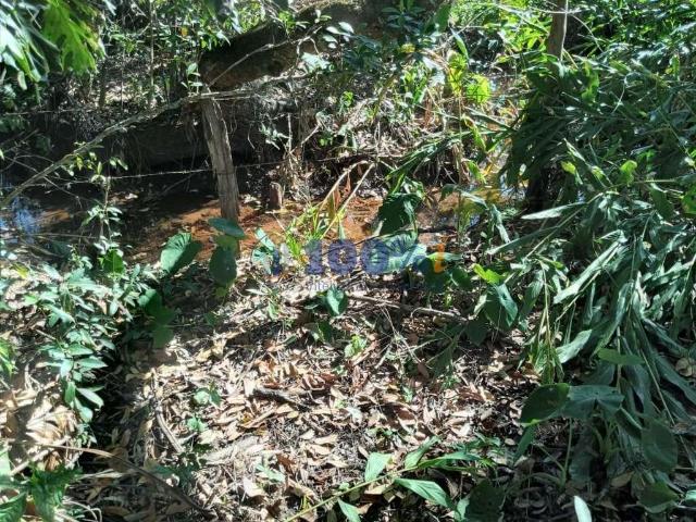Sítio e chácara venda em Região Geográfica Imediata de Pouso Alegre, Borda da Mata