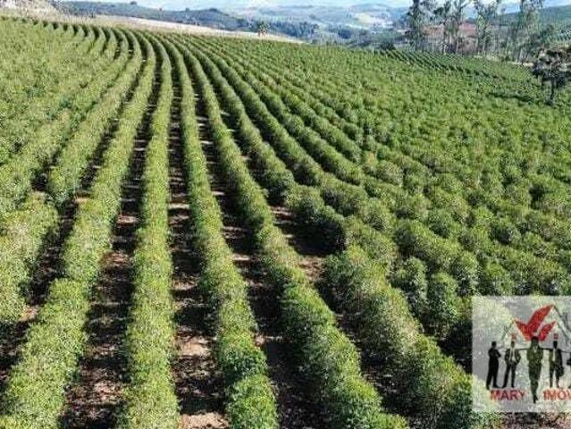Sítio e chácara venda em Botelhos, Região Geográfica Intermediária de Pouso Alegre