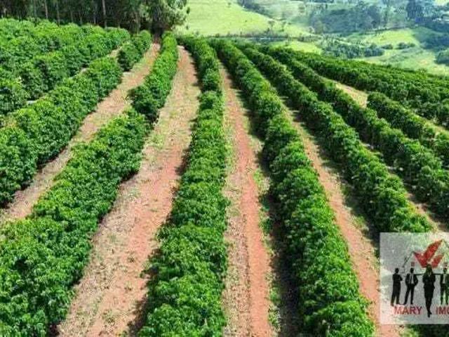 Sítio e chácara venda em Região Geográfica Imediata de Poços de Caldas, Botelhos