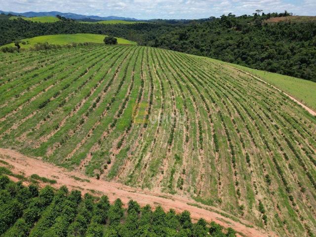 Sítio e chácara venda em Botelhos, Região Geográfica Intermediária de Pouso Alegre