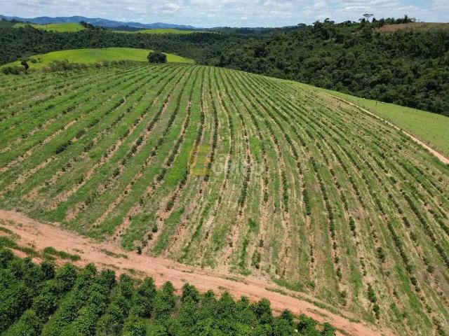 Sítio e chácara venda em Região Geográfica Imediata de Poços de Caldas, Botelhos