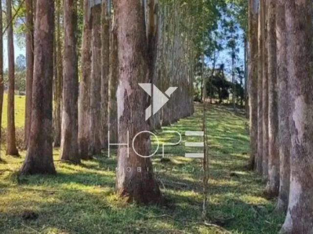 Sítio e chácara venda em Região Imediata de Botucatu, Botucatu