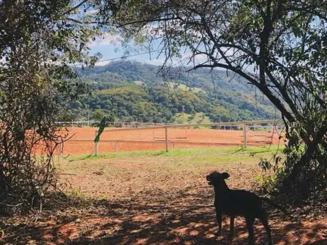 Sítio e chácara venda em Região Imediata de Botucatu, Botucatu