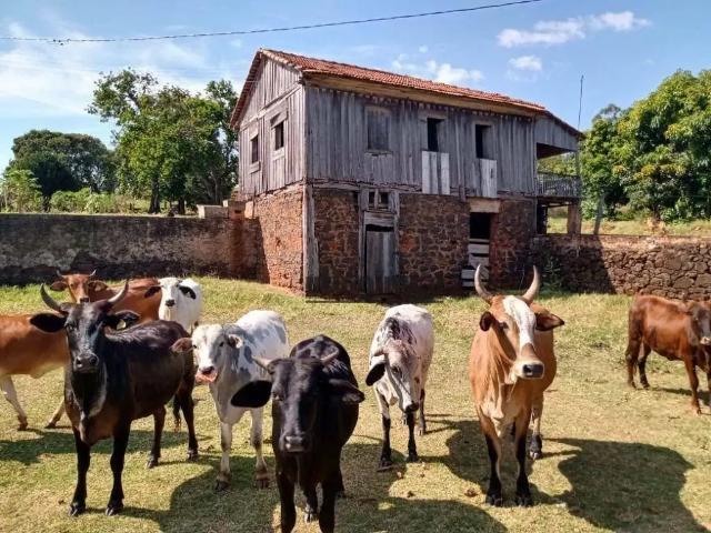 Sítio e chácara venda em Região Imediata de Botucatu, Botucatu