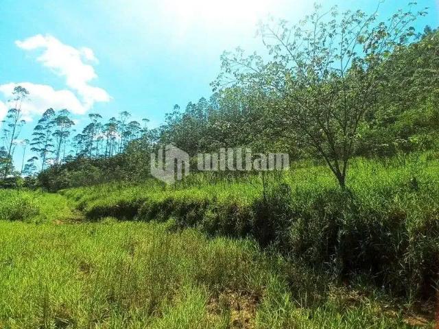 Sítio e chácara venda em Região Geográfica Imediata de Brusque, Botuvera