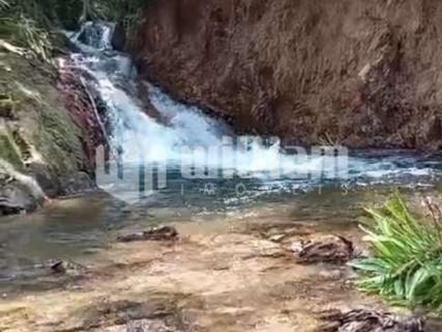 Sitio venda em Botuvera
