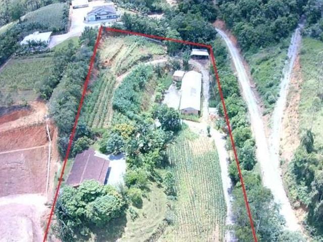 Sitio venda em Botuvera