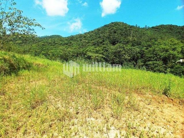 Sitio venda em Botuvera