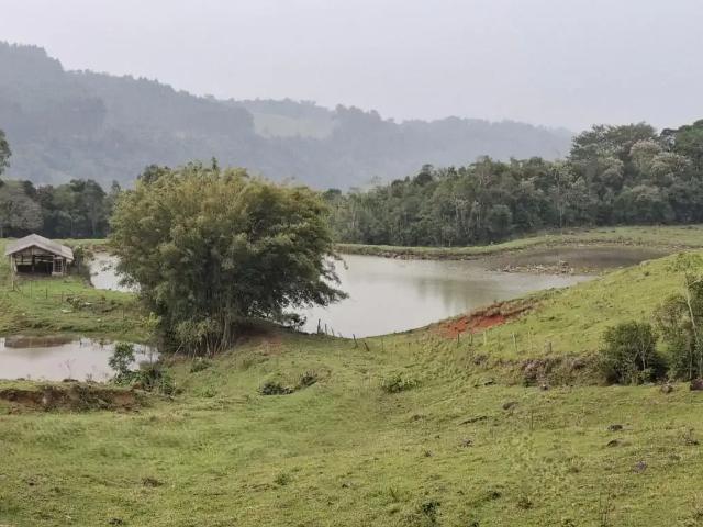 Sítio e chácara venda em Região Geográfica Imediata de Rio do Sul, Braco do Trombudo
