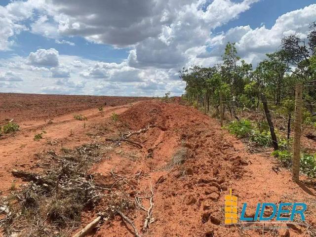Sítio e chácara venda em Região Geográfica Imediata de Patos de Minas, Brasilândia de Minas