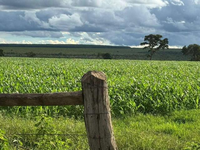 Sítio e chácara venda em Brasilândia de Minas