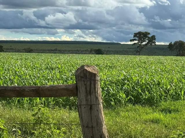 Sítio e chácara venda em Região Geográfica Imediata de Patos de Minas, Brasilândia de Minas