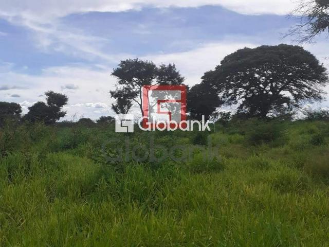 Sítio e chácara venda em Brasília de Minas, Região Geográfica Intermediária de Montes Claros