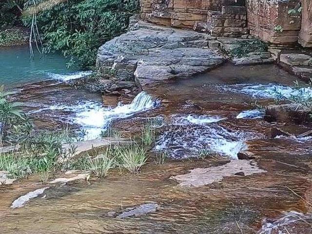 Sítio e chácara venda em Alexandre Gusmão, Brazlândia
