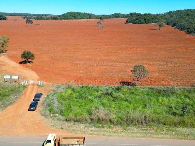 Sítio e chácara venda em Brasília, Plano Piloto