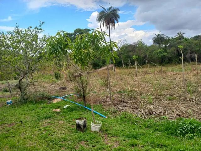 Sítio e chácara venda em Região Geográfica Imediata do Distrito Federal, Região Integrada de Desenvolvimento do Distrito Federal e Entorno