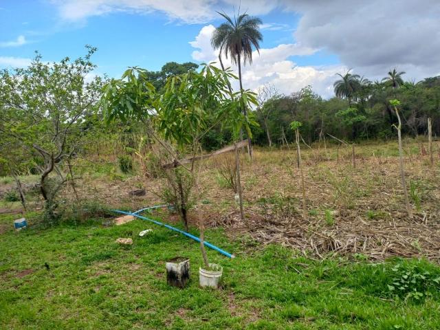 Sítio e chácara venda em Região Geográfica Imediata do Distrito Federal, Região Integrada de Desenvolvimento do Distrito Federal e Entorno
