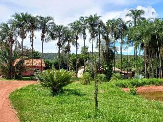 Sítio e chácara venda em Brasília, Plano Piloto