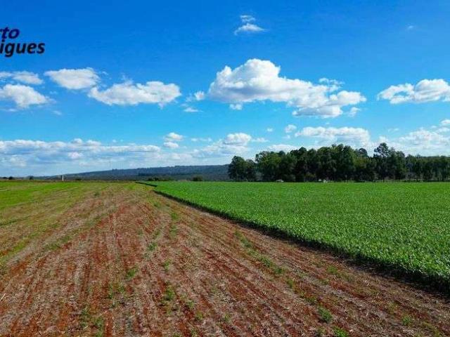 Sítio e chácara venda em Planaltina, Região Geográfica Intermediária do Distrito Federal