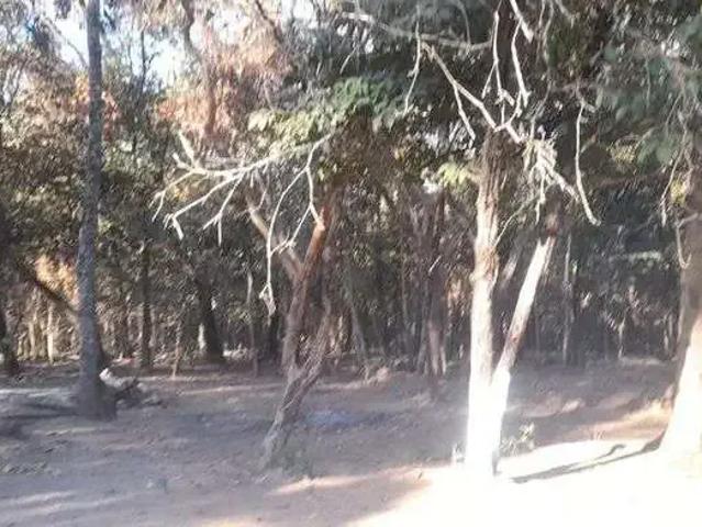 Sítio e chácara venda em Região Geográfica Imediata do Distrito Federal, Região Integrada de Desenvolvimento do Distrito Federal e Entorno