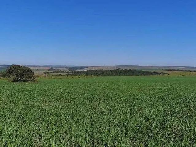 Sítio e chácara venda em Região Geográfica Imediata do Distrito Federal, Região Integrada de Desenvolvimento do Distrito Federal e Entorno