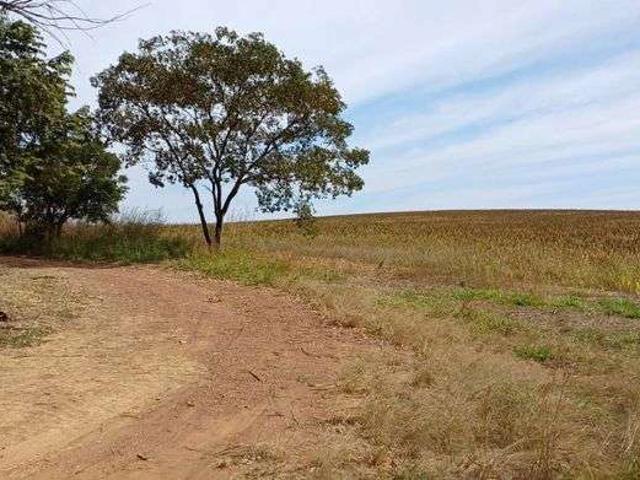 Sítio e chácara venda em Núcleo Rural Capão Seco, Paranoá