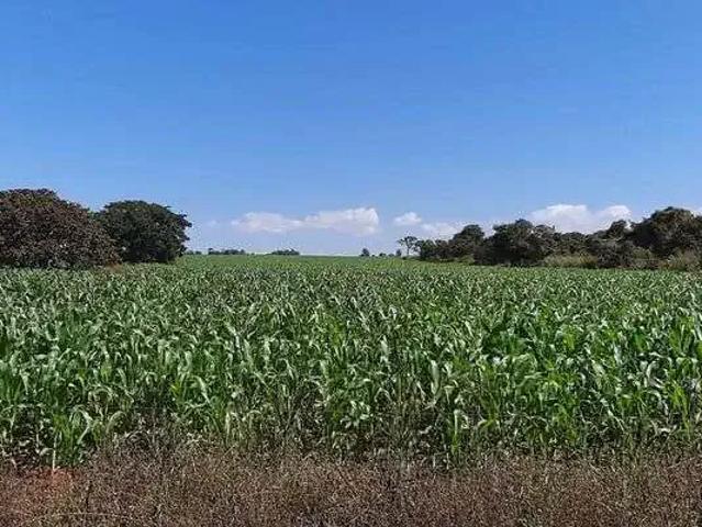 Sítio e chácara venda em Região Geográfica Imediata do Distrito Federal, Região Integrada de Desenvolvimento do Distrito Federal e Entorno