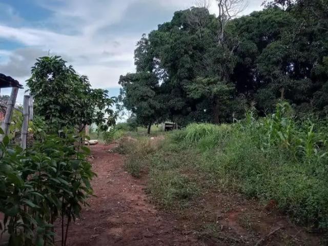 Sítio e chácara venda em Região Geográfica Imediata do Distrito Federal, Região Integrada de Desenvolvimento do Distrito Federal e Entorno