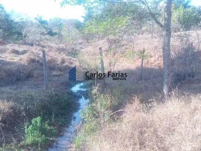 Sítio e chácara venda em Região Geográfica Imediata do Distrito Federal, Região Integrada de Desenvolvimento do Distrito Federal e Entorno