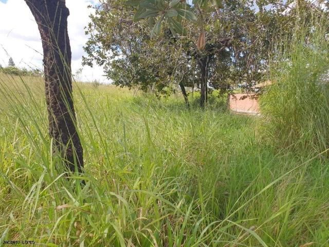 Sítio e chácara venda em Região Geográfica Imediata do Distrito Federal, Região Integrada de Desenvolvimento do Distrito Federal e Entorno