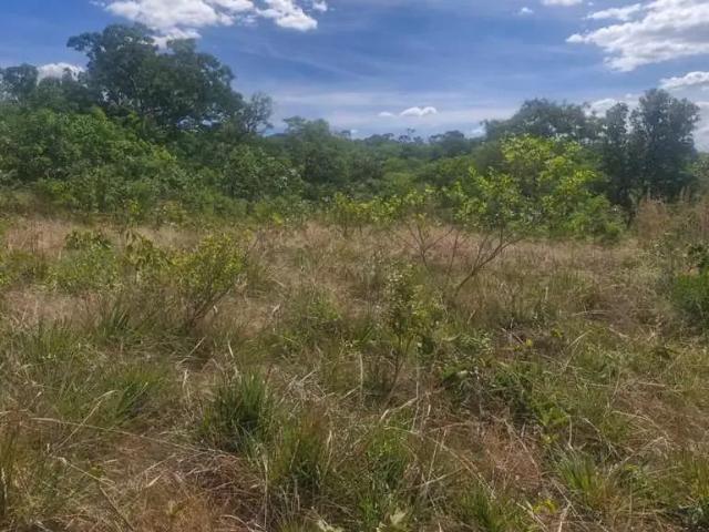Sítio e chácara venda em Região Geográfica Imediata do Distrito Federal, Região Integrada de Desenvolvimento do Distrito Federal e Entorno
