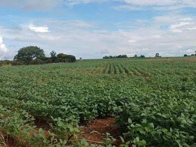 Sítio e chácara venda em Condomínio Privê Residencial La Font, Paranoá