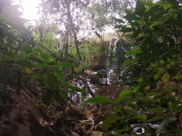 Sítio e chácara venda em Região Geográfica Imediata do Distrito Federal, Região Integrada de Desenvolvimento do Distrito Federal e Entorno