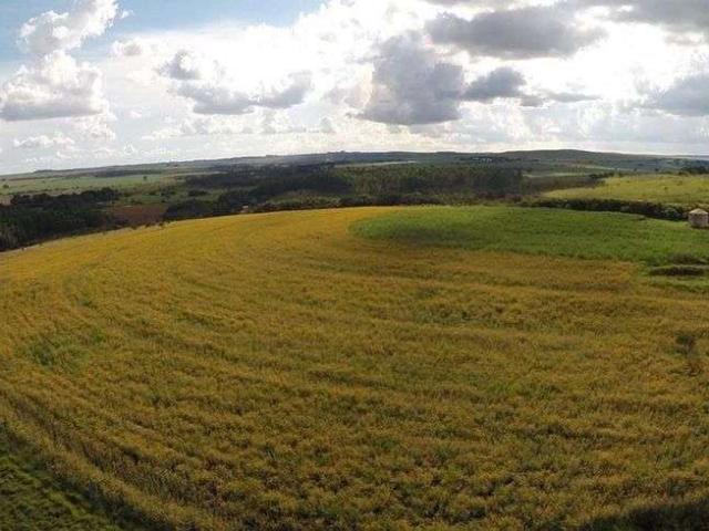 Sítio e chácara venda em Planaltina, Região Geográfica Intermediária do Distrito Federal