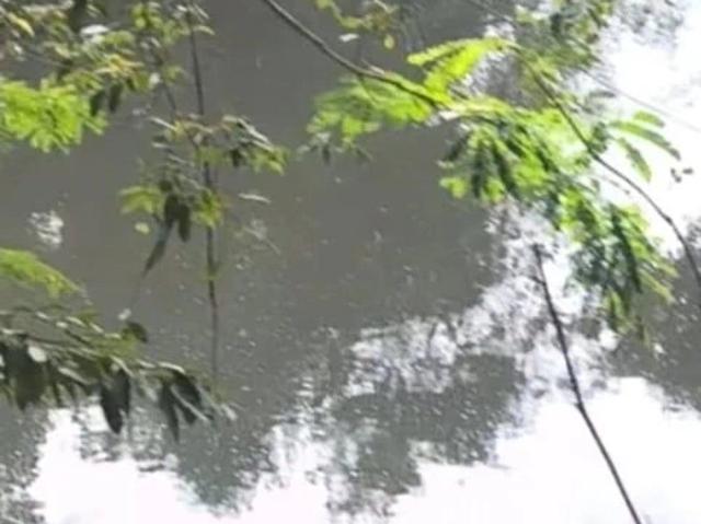 Sítio e chácara venda em Gama, Região Geográfica Intermediária do Distrito Federal