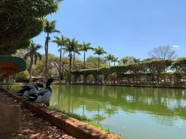 Sítio e chácara venda em Região Geográfica Imediata do Distrito Federal, Região Integrada de Desenvolvimento do Distrito Federal e Entorno