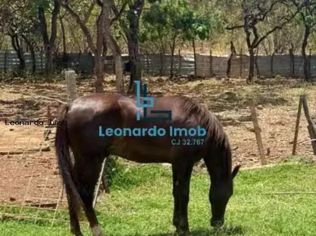 Sítio e chácara venda em Região Geográfica Imediata do Distrito Federal, Região Integrada de Desenvolvimento do Distrito Federal e Entorno