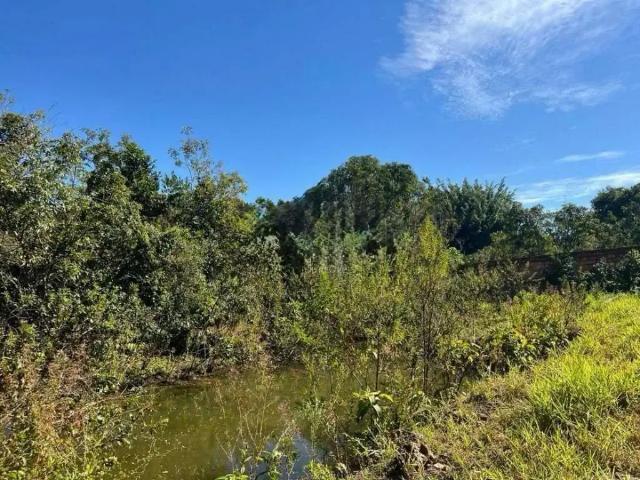 Sítio e chácara venda em Região Geográfica Imediata de Uberlândia, Araguari
