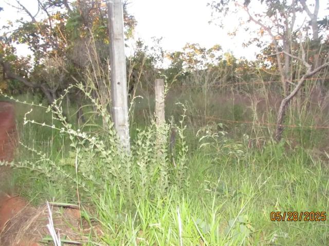 Sítio e chácara venda em Região Geográfica Imediata do Distrito Federal, Região Integrada de Desenvolvimento do Distrito Federal e Entorno