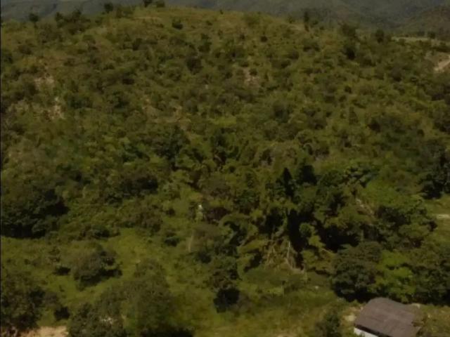 Sítio e chácara venda em Região Geográfica Imediata do Distrito Federal, Região Integrada de Desenvolvimento do Distrito Federal e Entorno