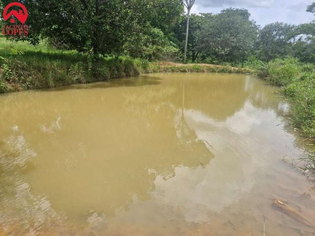 Sítio e chácara venda em Região Geográfica Imediata do Distrito Federal, Região Integrada de Desenvolvimento do Distrito Federal e Entorno