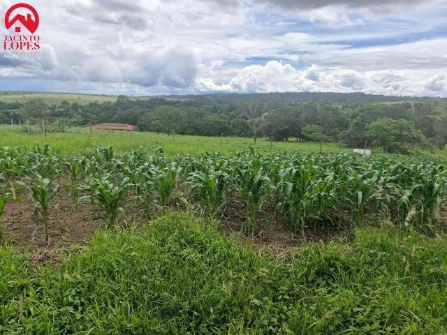Sítio e chácara venda em Região Geográfica Imediata do Distrito Federal, Região Integrada de Desenvolvimento do Distrito Federal e Entorno