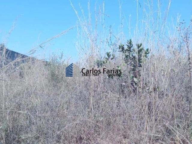 Sítio e chácara venda em Barreiro I, São Sebastião