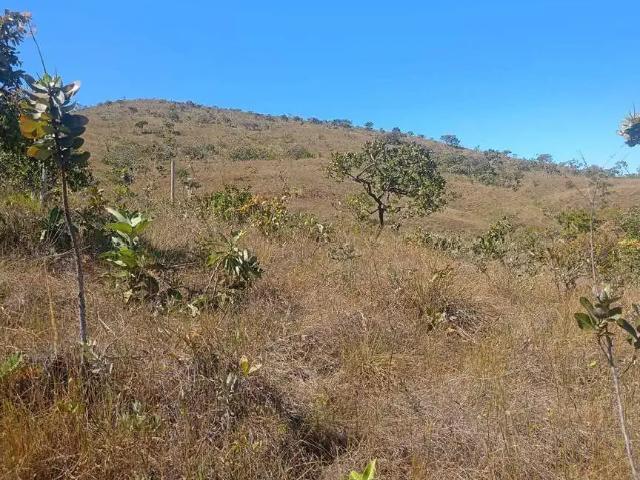 Sítio e chácara venda em Região Geográfica Imediata do Distrito Federal, Região Integrada de Desenvolvimento do Distrito Federal e Entorno