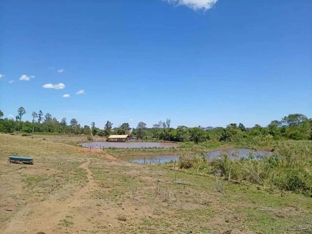 Sítio e chácara venda em Brazabrantes, Região Geográfica Intermediária de Goiânia
