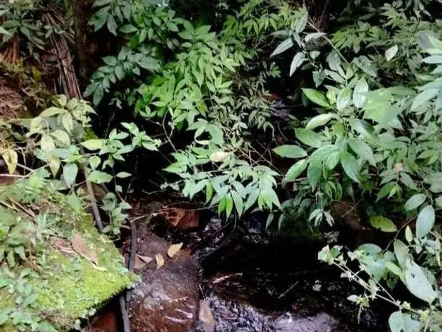 Sítio e chácara venda em Região Geográfica Imediata de Itajubá, Região Sudeste